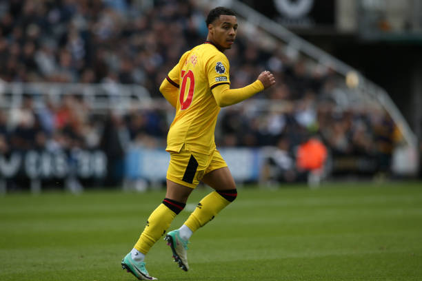 无论你选择 无论你选择